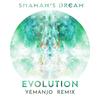 Evolution (Yemanjo Remix) - Shaman's Dream&Yemanjo