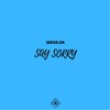 Say Sorry - Serge:Ok