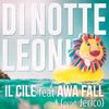 Di notte leoni - Il Cile&Awa Fall