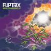 Mind Travelling - Fliptrix