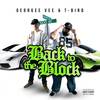 Never Paid No Dues (Explicit) - Georgee Vee&T Bird