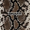 Snake (뱀) (中文填词版) - 野生三十