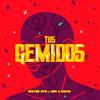 Tus Gemidos - Hector DTM&Ray & Costa