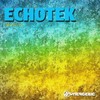 Static World - Echotek