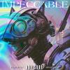 IMPECCABLE (feat. Sinada) (Explicit) - occXpied&Sinada