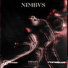 Mirrors - NIMBVS