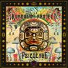 Psilocybe - Kundalini Project