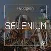 Selenium (Original Mix) - Hypogean