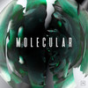 Questionable - Molecular&Amoss