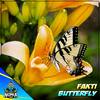 Butterfly - Fakti