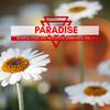 Source Of Living (Original Mix) - Daniel Markston