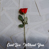 Cant Live Without You - Vijay Sakhare