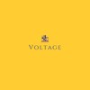 Voltage - Hailey Sphynx
