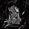 What to do (feat. Rivvera) - dj k&Rivvera