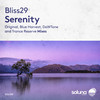 Serenity (Trance Reserve Remix) - Bliss29&Trance Reserve