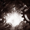 Chronos - Hase