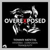 Confusion (Original Mix) - Tommy Mental