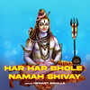 Har Har Bhole Namah Shivay - Hemant Rohilla