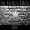 Possession (Original Mix) - Ecco