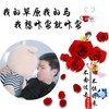 我的草原我的马 我想咋耍就咋耍 (cover: 狗蛋DS) (其他) - 高鹏博