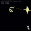 Aquaria (Gold Groove Mix) - Midnight Groove&Fata