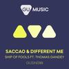 Ship Of Fools (Florian Kruse Remix) - Different Me&Saccao&Thomas Gandey