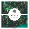 Shakuhachi - Dashka