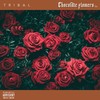 Slow Jam (Explicit) - Tribal&Beast Rsa