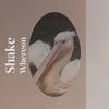 Suffer Thou - Benie Shaheer