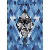 COLOR RING (WINNER JAPAN TOUR 2018 ~We'll always be young~) - WINNER