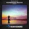 Homeward Bound (Original Mix) - Ryota Arai