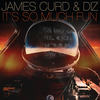 It’s So Much Fun (Lee Foss Remix) - Diz&James Curd&Lee Foss&Dwayne Washington