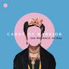 Carry On Warrior - Andy Bianchini&Ava King