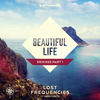 Beautiful Life (Erick Morillo Extended Remix) - Lost Frequencies&Sandro Cavazza