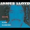Bella Donna (Remix) - James Lloyd