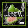 Slip Away (Original Mix) - Shadym