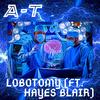 Lobotomy(feat. Hayes Blair) (Explicit) - AyDashTee&Hayes Blair