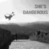 She's Dangerous - Michael Anthony Shanks