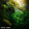 Kong - NELIN
