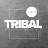 Do You Love (Original Mix) - Javier Perez