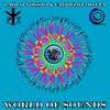World of Sounds - Paolo Tossio&Fabrizio Motta
