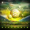 Disturbia (Original Mix) - Vertex&Invisible Reality&Lydia Delay