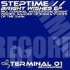 Bright Wishes (Original Mix) - Steptime