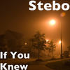 If You Knew (Explicit) - Stebo