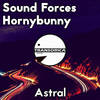 Astral (Original Mix) - Sound Forces&Hornybunny