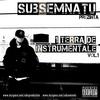 Abuzuri (feat. C.I.A & dj Limun - remix|Explicit) - Subsemnatu&C.I.A