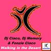 Walking in the Desert (DJ Mario Mandelli Remix) - Fonzie Ciaco&DJ Memory&DJ Fonzie Ciaco