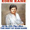 We Could have had it All - Eden Kane