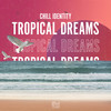 Tropical Dreams - Roman Müller&Chill Identity