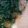 Quiet (Edit) - Merkie